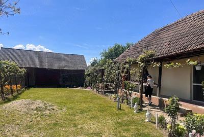 Casă cu 2 camere cu Teren 3543 Mp în Tătărești - 7