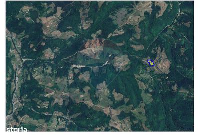 Teren de 10100 mp, în Bulz - 8