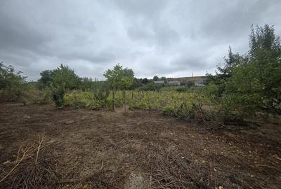 Casă cu Teren 1800 Mp în Scoposeni (Gorban)
