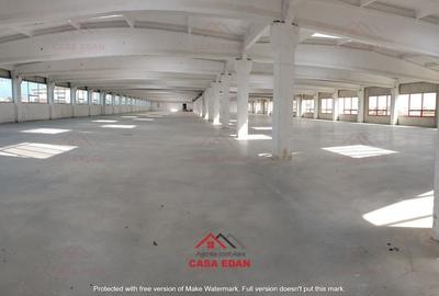 Spațiu industrial, de 13,000 mp, în Băicoi - 5