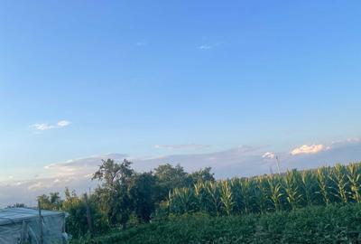 Casă cu 4 camere în Topliceni