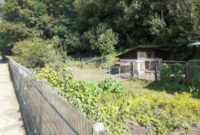 Casă cu 6 camere în Câmpulung Moldovenesc - 4