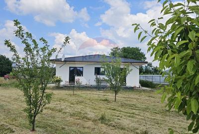 Casă individuală cu 5 camere cu Teren 4242 Mp în Vânători-Neamț - 44