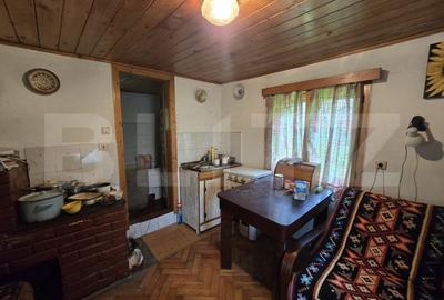 Casă individuală cu 2 camere cu Teren 830 Mp în Ciucea - 5