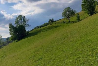 Teren de 2000 mp, în Runc (Vidra)