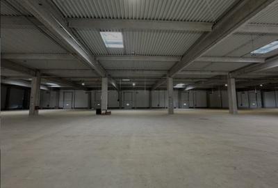 Spațiu industrial, de 1,000 mp, în Sud - 2