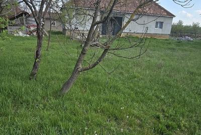 Casă cu 3 camere cu Teren 1500 Mp în Hidiș - 9