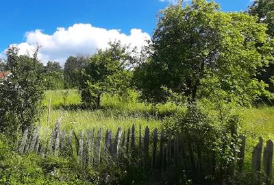 Teren de 830 mp, în Cerișor - 7
