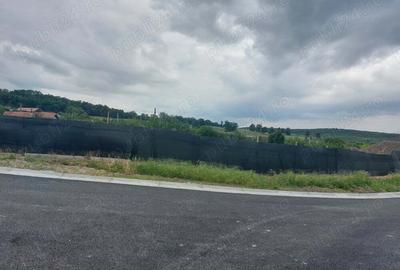 Teren în Erghevița - 5