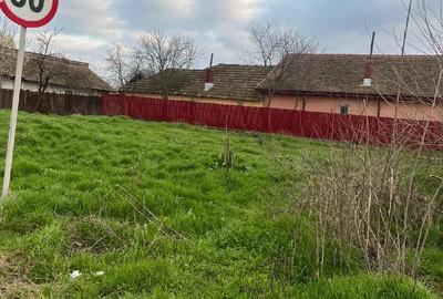 Teren de 513 mp, în Borcea - 3