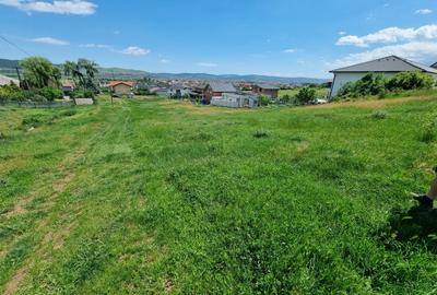 Teren Construcții de 3624 mp, în Micești