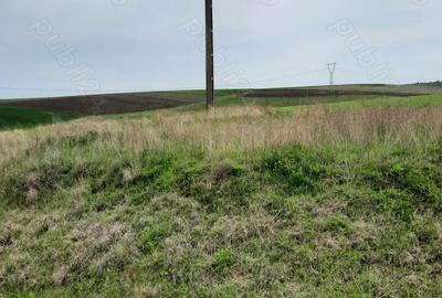 Teren de 5000 mp, în Pielești - 3