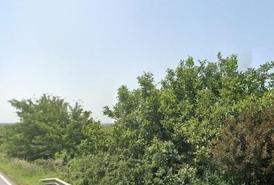 Teren de 5000 mp, în Berceni