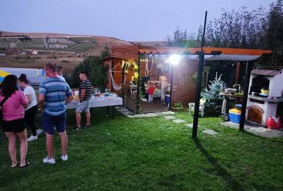 Teren de 1000 mp, în Sopor - 4