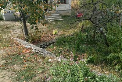 Casă cu Teren 2500 Mp în Măldărești