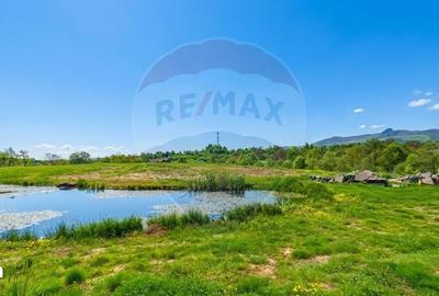 Casă cu 4 camere cu Teren 10130 Mp în Desești - 12