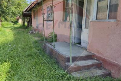 Casă cu 4 camere cu Teren 1105 Mp în Câmpulung la Tisa - 5