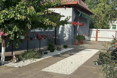 Casă cu Teren 2150 Mp în Lenauheim