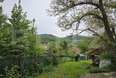 Casă individuală cu 2 camere cu Teren 830 Mp în Ciucea - 9