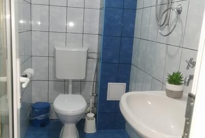 Casă cu 10 camere cu Canalizare în Stadion - 14
