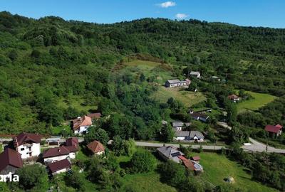 Casă cu 4 camere cu Teren 3765 Mp în Mihăești - 14