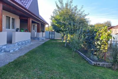 Casă cu 3 camere în Cașin