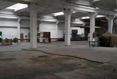Spațiu industrial, de 14,450 mp, în Chiscani