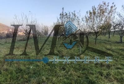 Teren Construcții intravilan de 1785 mp, în Pâclișa - 5