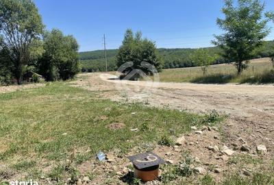 Teren de 610 mp, în Sadu - 1