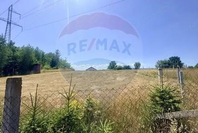 Casă cu Teren 3177 Mp în Ferești