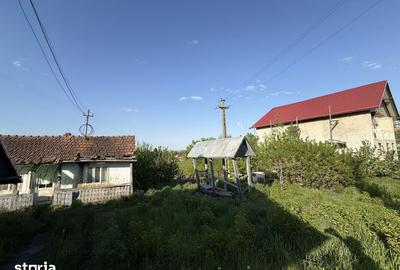 Casă cu 3 camere cu Teren 3200 Mp în Brusturi - 12