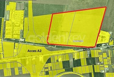 Teren Construcții extravilan de 320000 mp, în Brătianu - 2
