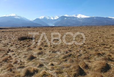 Teren agricol extravilan de 1000 mp, în Gura Văii