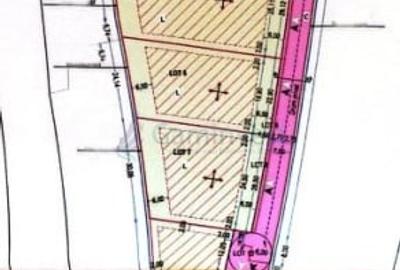 Teren Construcții intravilan de 1216 mp, în Cetariu