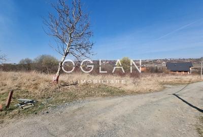 Teren Construcții intravilan de 8000 mp, în Daia - 2