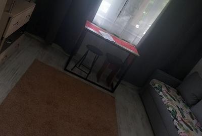 Apartament decomandat în Vișan