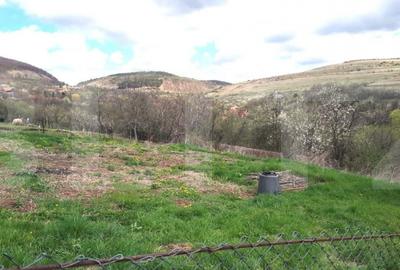 Teren de 800 mp, în Ciurila - 6