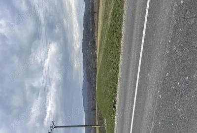 Teren de 3145 mp, în Mănăstirea Cașin - 7