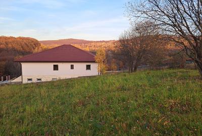 Teren Construcții intravilan de 1000 mp, în Făget - 1