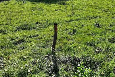 Teren de 1000 mp, în Bran