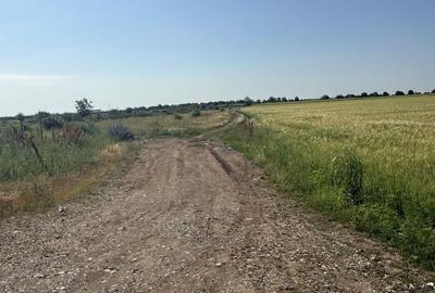 Teren de 10 mp, în Ariceștii Rahtivani