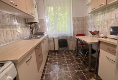 Apartament cu 2 camere semidecomandat în Săsar - 7