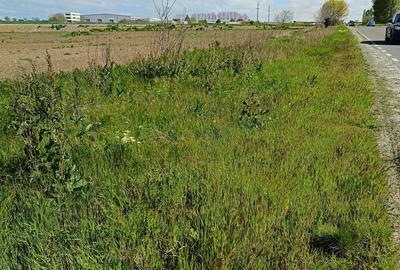 Teren agricol extravilan de 25000 mp, în Exterior Vest - 3