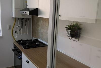Apartament cu 2 camere în Roșu