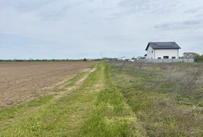 Teren Construcții intravilan de 9640 mp, în Corbeanca - 2