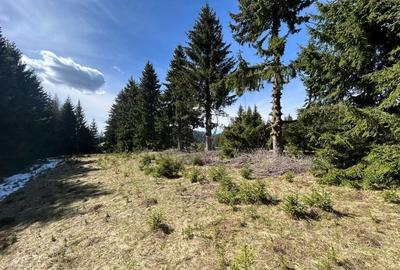Teren de 15086 mp, în Fundata - 5