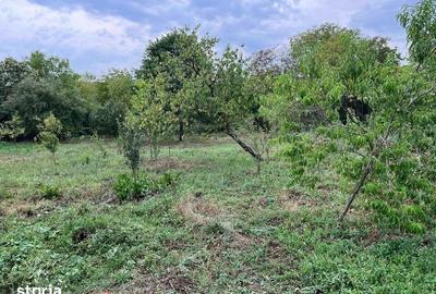 Casă cu 3 camere cu Teren 1773 Mp în Central