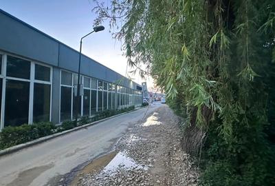 Spațiu comercial, de 1,236 mp, în Govândari - 18