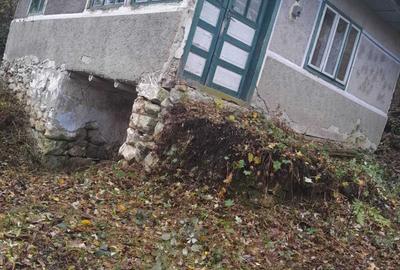 Casă cu 2 camere în Plai