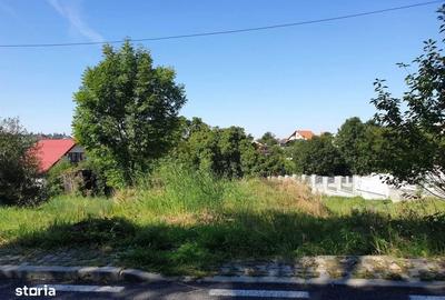 Spațiu comercial, în Feleacu